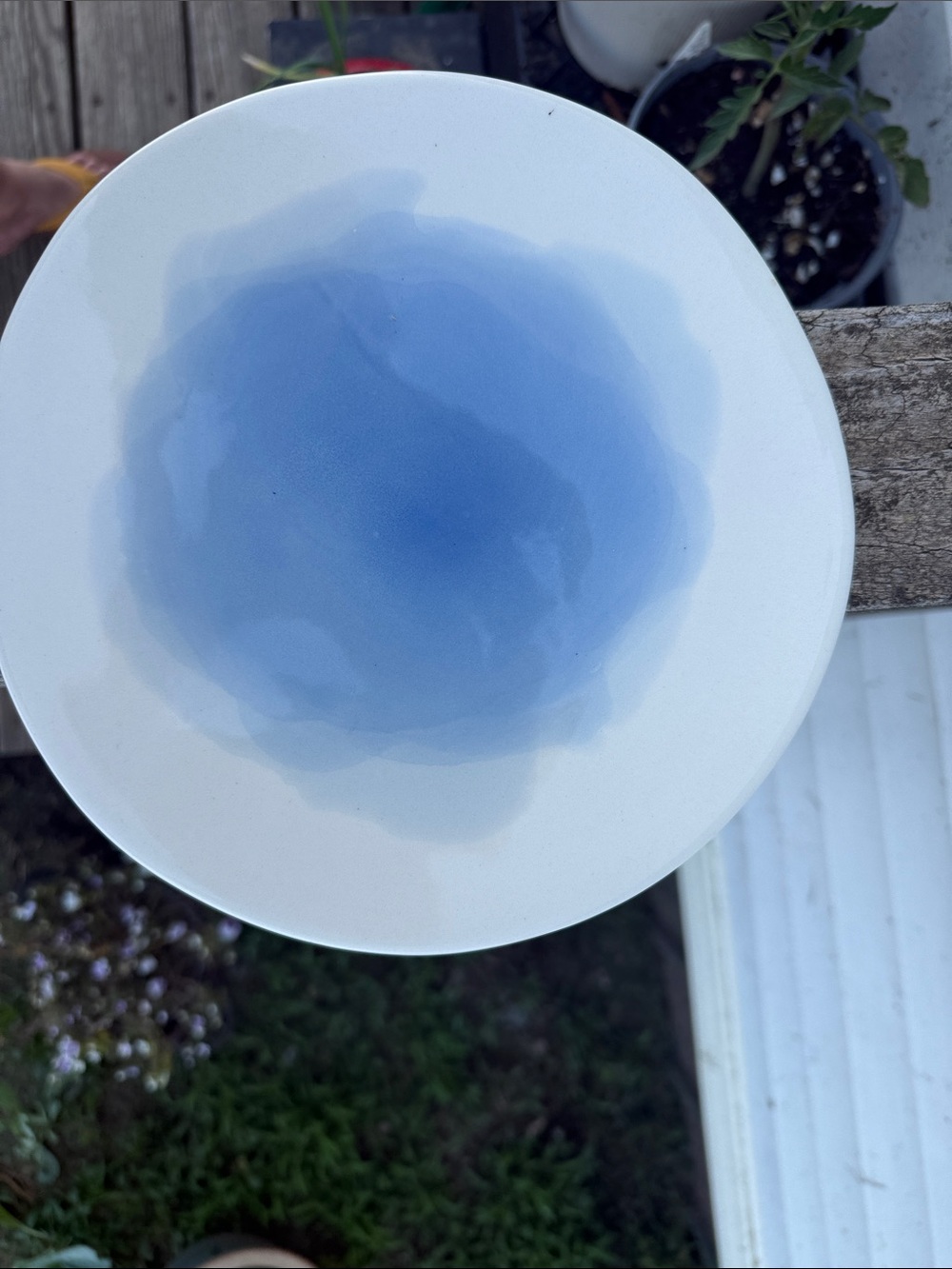 Blue Ceramic Dinner Plate - Stylish Home Dining made in Portugal